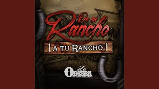 Video thumbnail of "La Odisea de Chino Hernandez - Prisionero de Tus Brazos"
