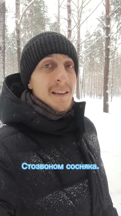 "Поёт зима - аукает" - Дмитрий Ячменёв (Автор: С. Есенин) #есенин # ...