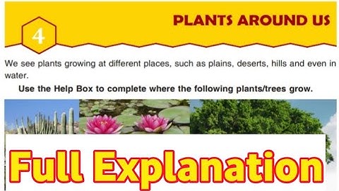 ||DAV Class 4 Science Ch 4 Plants around us Explanation||DAV Class 4 Science||Collection Of Study||