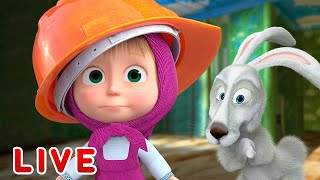 Live Masha E O Urso Melhores Episódios De Inverno