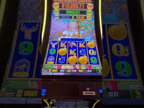Hotel y casino en Macao