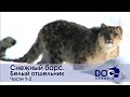 Снежный барс. Белый отшельник - Части 1-2 - Документальный фильм - Сборник