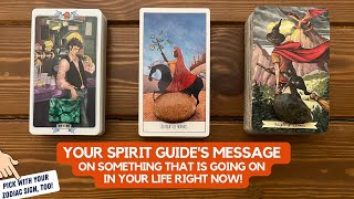 Your Spirit Guide's Message on Something That Is Going on in Your Life Right Now! | Timeless Reading by White Feather Tarot 64,867 views 2 weeks ago 1 hour, 1 minute
