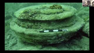 Identifying The Technological Among The Natural - Sofia Z. Sheikh