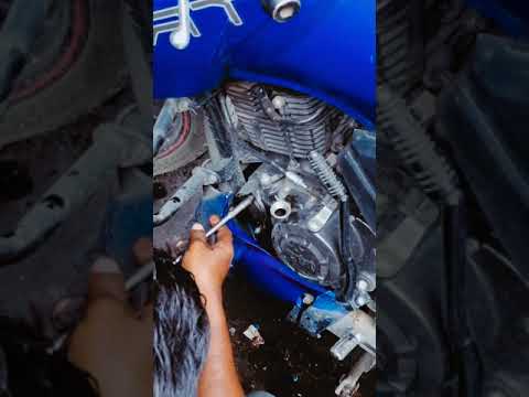 Engine Oil & Engine Oil Filter Change