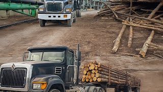 Logging Life in South|| From Pine to Mill | Chasing Loads Through South Mississippi