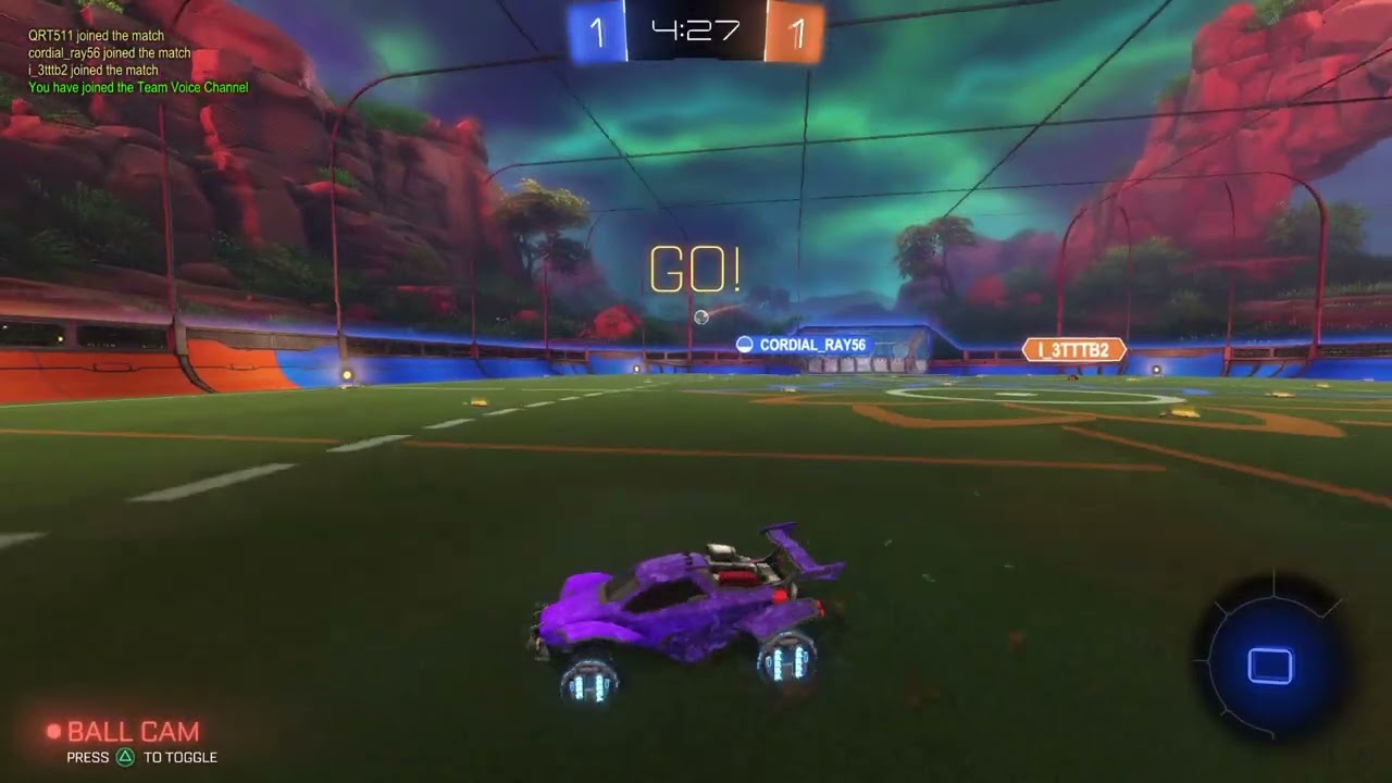 ركيت ليق  قيم الجلد والمجلود