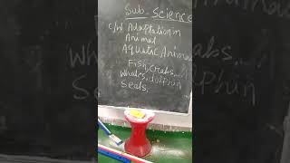 #rising sun public school #kadamtala#e Class #class4