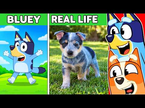 Bluey in REAL LIFE!