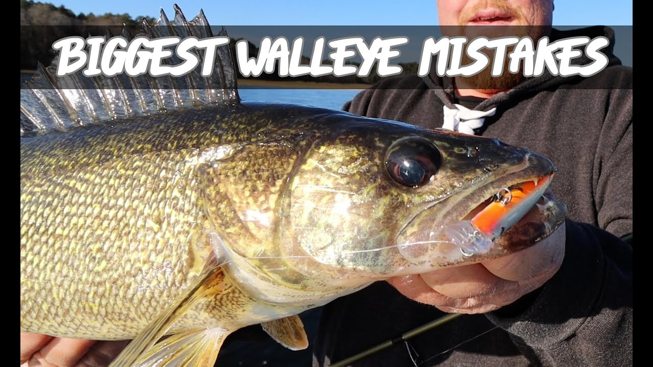 5 Biggest Walleye Fishing Mistakes (Avoid 'em like the plague) 