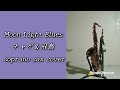 Moon Light Blues チャゲ&飛鳥 sopranosax