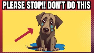 16 Things Dogs Hate That Humans Do - Stop Doing These Things Your Dog Does Not Like