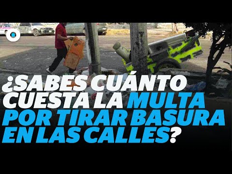¿Sabes cuánto cuesta la multa por tirar basura en las calles? I Reporte ...