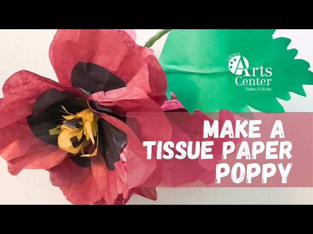 Tissue Paper Poppies : 7 Steps (with Pictures) - Instructables