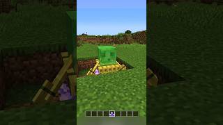 Minecraft secret tricks #Minecraft #Shorts