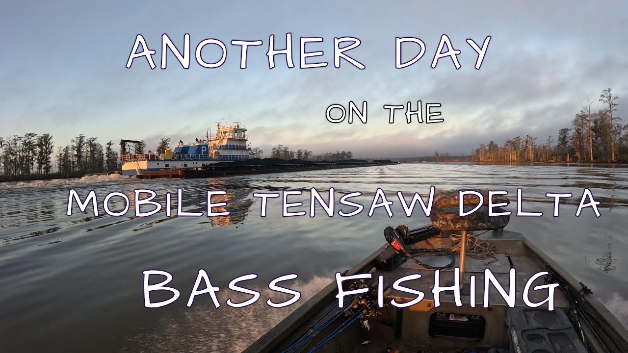 Another day on the Mobile Tensaw Delta Bass Fishing
