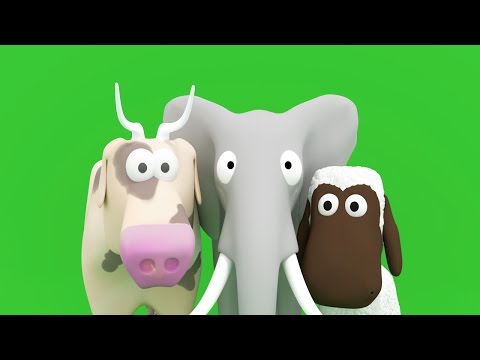 Nomi e suoni di animali e di più per bambini e neonati (come schede flash) Tinyschool Italiano