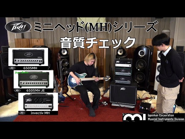 PEAVEY】MHシリーズ (6505 MH/6505 MH Japan Edition/Invective MH