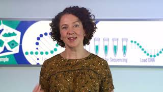 Understanding Immunotherapy