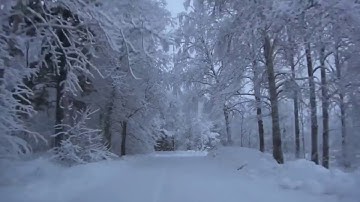 [10 Hours] Snow Drive Backwards - Video & Music Backwards [1080HD] SlowTV