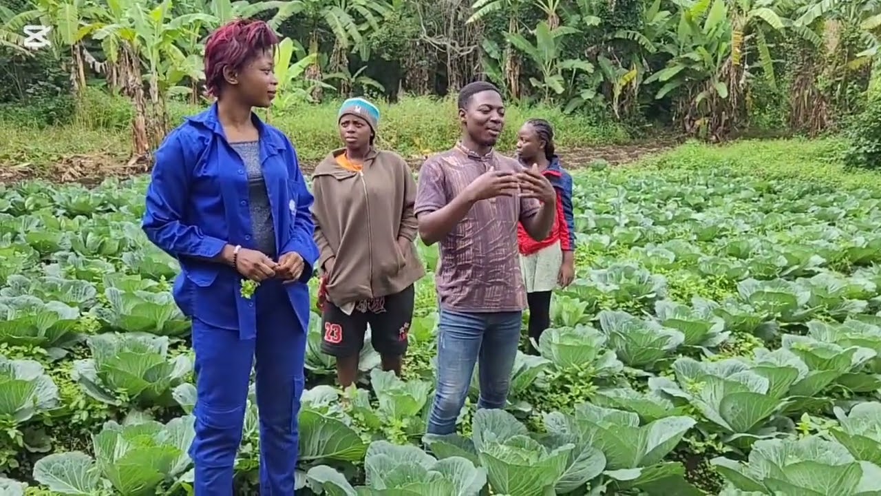 Reportage dans une parcelle conduite de manière agro-écologique. 