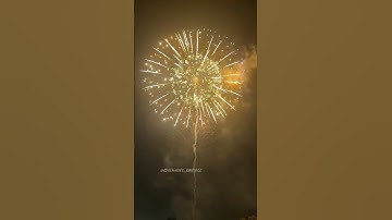 8” inch 200mm display Shell Hydrangea effect 🔥 #pyro #fireworks