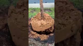 Бурение колодца/шамбо