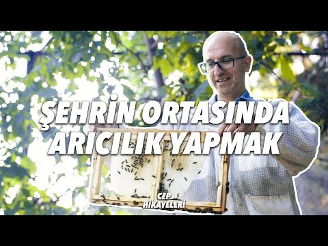 Video: Ekoloji Için Sanat