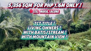 (PROPERTY # 116) FARM FOR SALE ! 5,356 SQM FOR Php 1.6M ONLY ! WITH TITLE ! WITH SMALL STREAM/SAPA !