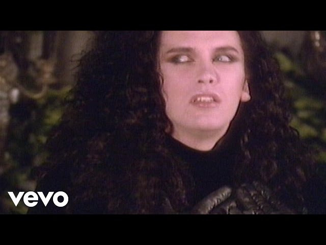 Dead Or Alive - Something In My House