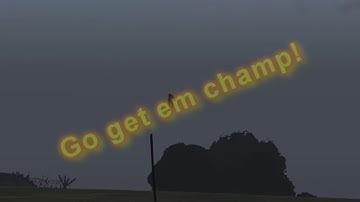 Its not a bug, its a feature 2