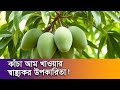 কাঁচা আমের ৬ আশ্চর্য উপকারিতা! জানলে অবাক হবেন! 6 Amazing Benefits of Raw Mango