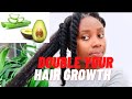 Aloe Vera and Avocado Oil | For Massive Hair Growth