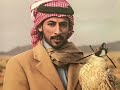Mohammed Bin Fetais Compilations No Music