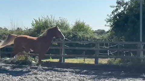 Advert reference - 378803