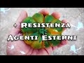Aumento Cicatrizzazione Naturale dei Frutti | Aggiornamenti fine Ottobre 2023