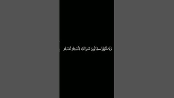 كروما آيات قرانية القارئ : عبدالله الجهني | سورة الحشر | آية ١٨