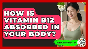 How Is Vitamin B12 Absorbed In Your Body? - The Health Supplement Hub