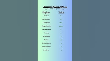 Animal kingdom’s phylum tricks to learn 🔥 #biologyclass #neet2024 #biologylecture