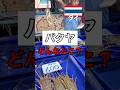 タイのパタヤってどんなところ？？#パタヤ #タイ #海外旅行