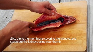 How to gut a trout in 45 seconds – with Fieldsports Magazine