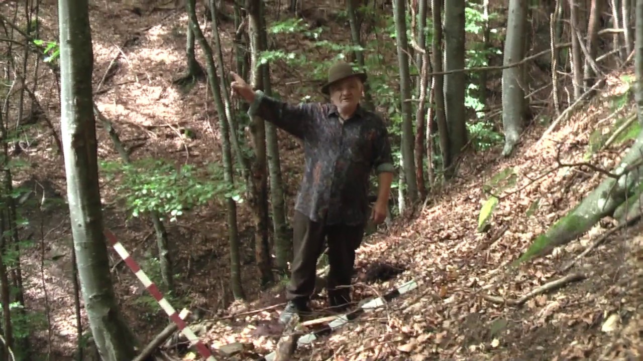 PE URMELE PARTIZANILOR ANTICOMUNIȘTI – ÎN PĂRĂUL ARȘIȚEI DE PE VALEA BICHIGIULUI (26 August 2014)