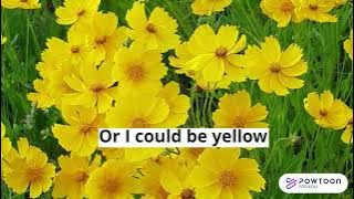 I could be every color you like - Stella Jang