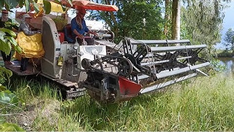 máy cắt lúa Kubota 105 thái gặp máy 102 tập28 #maibangtv
