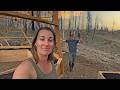 We're Running Out of Materials! (Back To Fencing the South Side And Garden Beds)