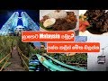 Everything you need to know before budget travel to Malaysia Sinhala | ලාභෙට Malaysia යමුද?