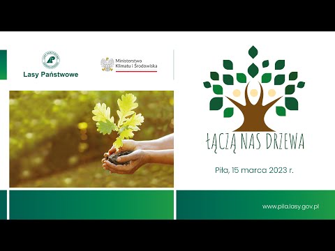 Łączą Nas Drzewa W Pile