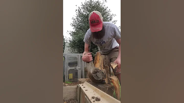 Splitting a Knotty Log