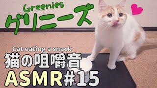 【ASMR】おやつで歯磨き！グリニーズを食べる猫の咀嚼音 #15 Cats eating a snack