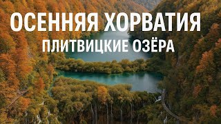 видео: Влюбиться в Хорватию с первого взгляда 🍂 Плитвицкие озёра осенью картинка: Влюбиться в Хорватию с первого взгляда 🍂 Плитвицкие озёра осенью